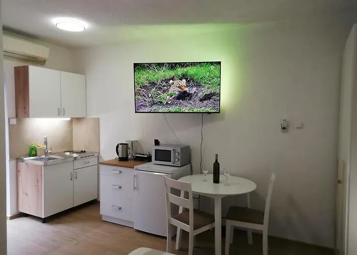 Apartman Seaside With A Swimming Pool - Zadar - 6153