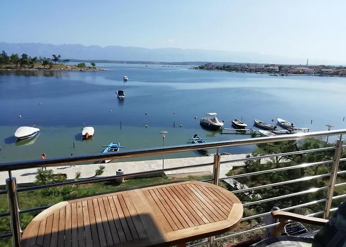 Seaside With A Swimming Pool - Zadar - 6153 公寓